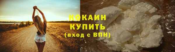 бошки Богданович
