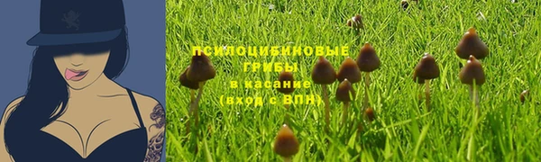 амфетамин Богородск
